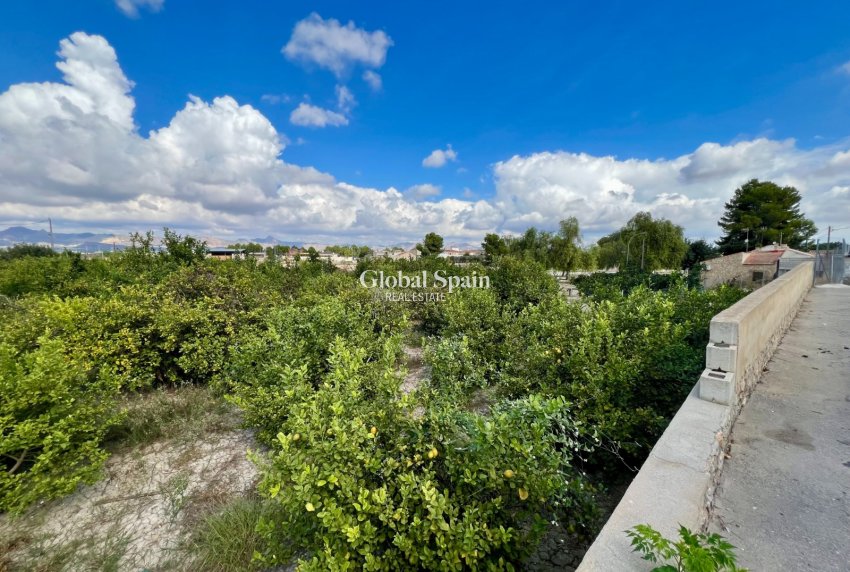 Resale - HOUSE -
BENFERRI - Benferri