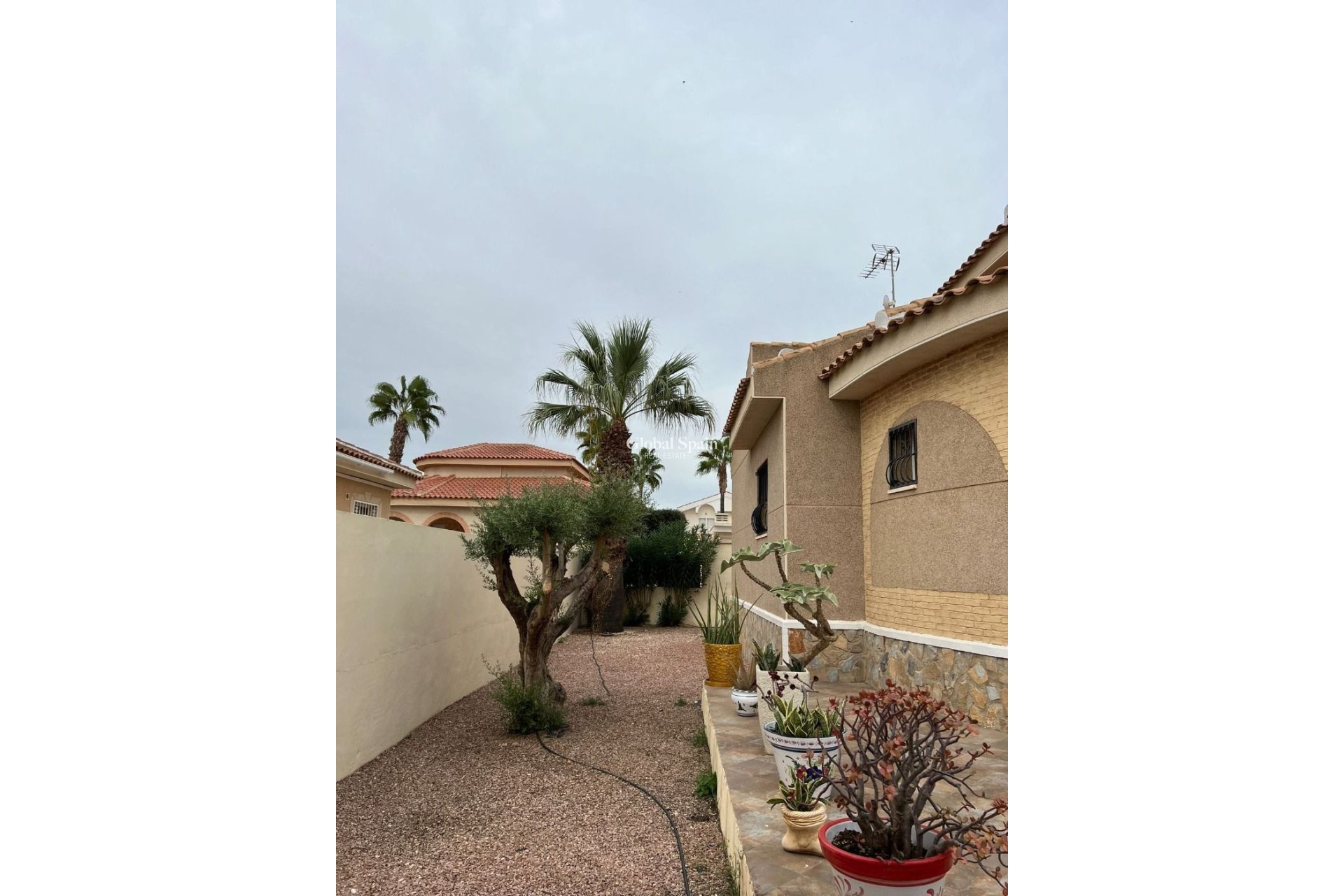 Resale - House -
BENIJÓFAR - Urbanizacion monteazul