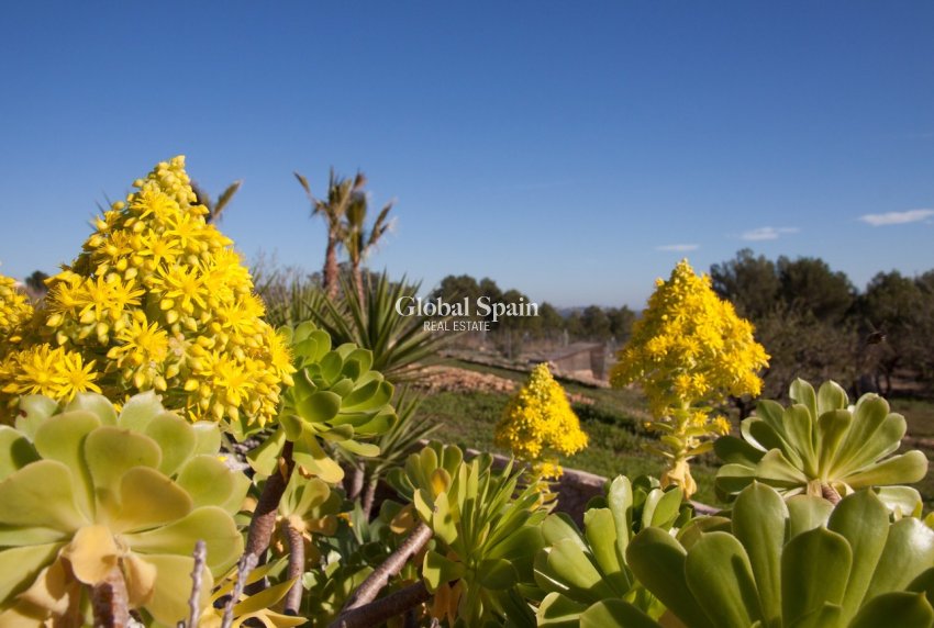 Resale - HOUSE -
BENISSA - Costa Blanca