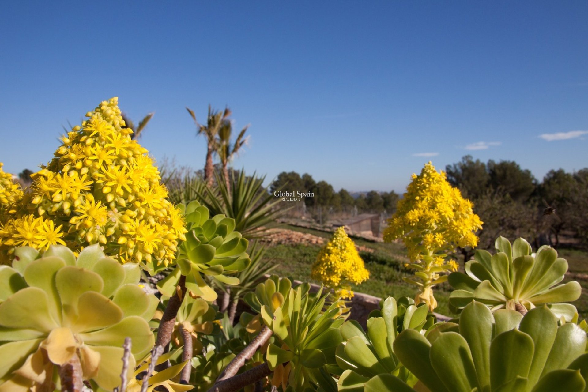 Resale - HOUSE -
BENISSA - Costa Blanca