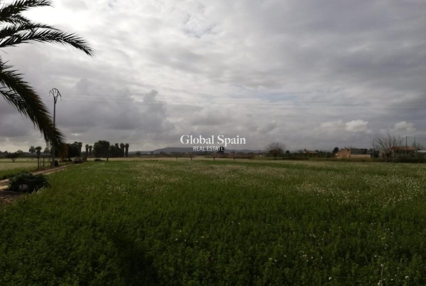 Resale - HOUSE -
CALLOSA DEL SEGURA - Costa Blanca