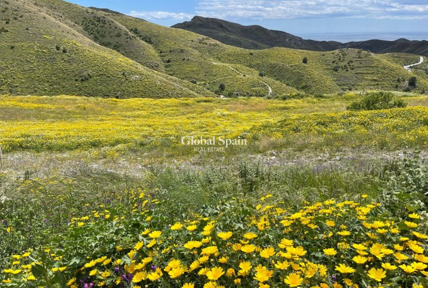 Resale - HOUSE -
CARTAGENA - Costa Calida