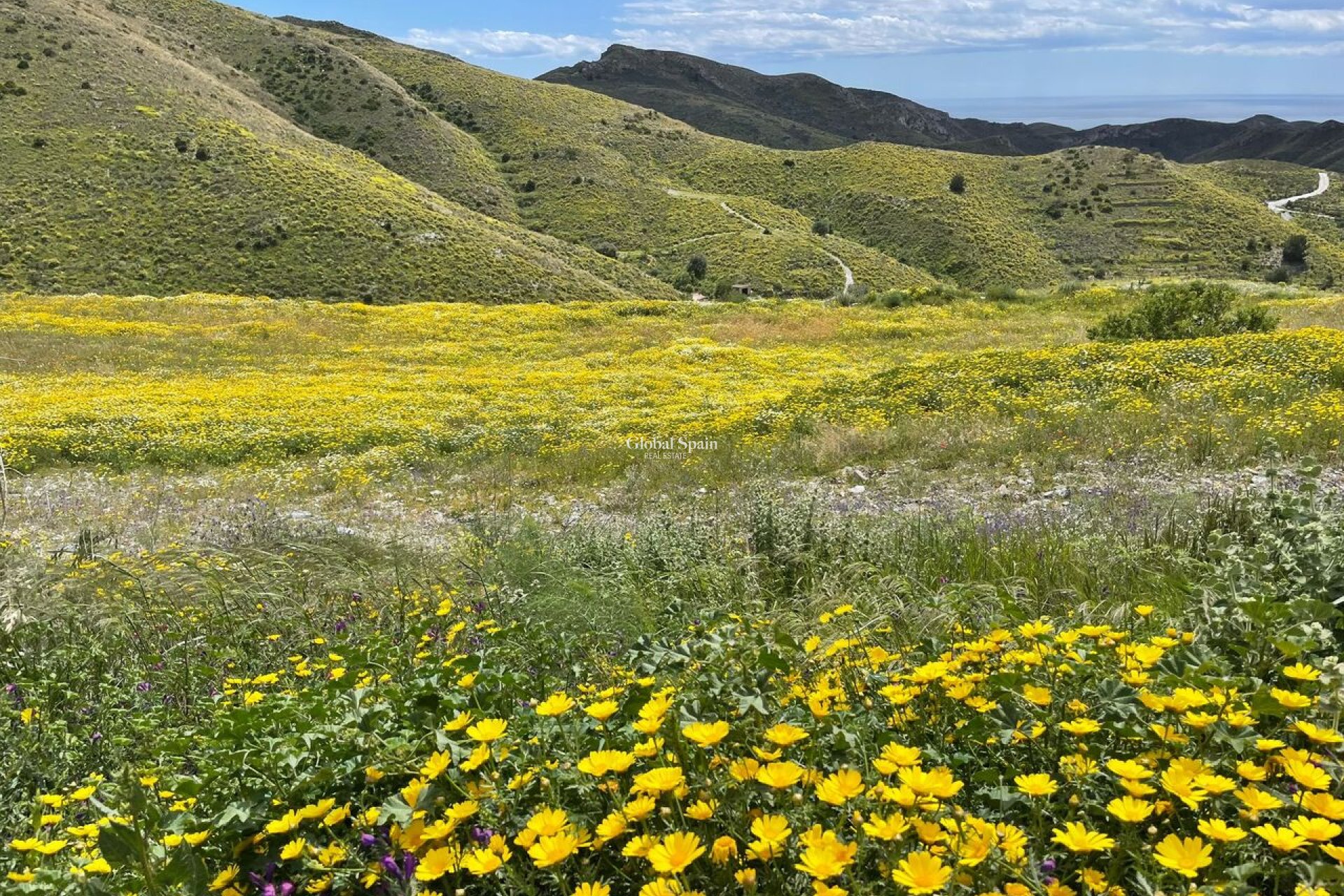 Resale - HOUSE -
CARTAGENA - Costa Calida