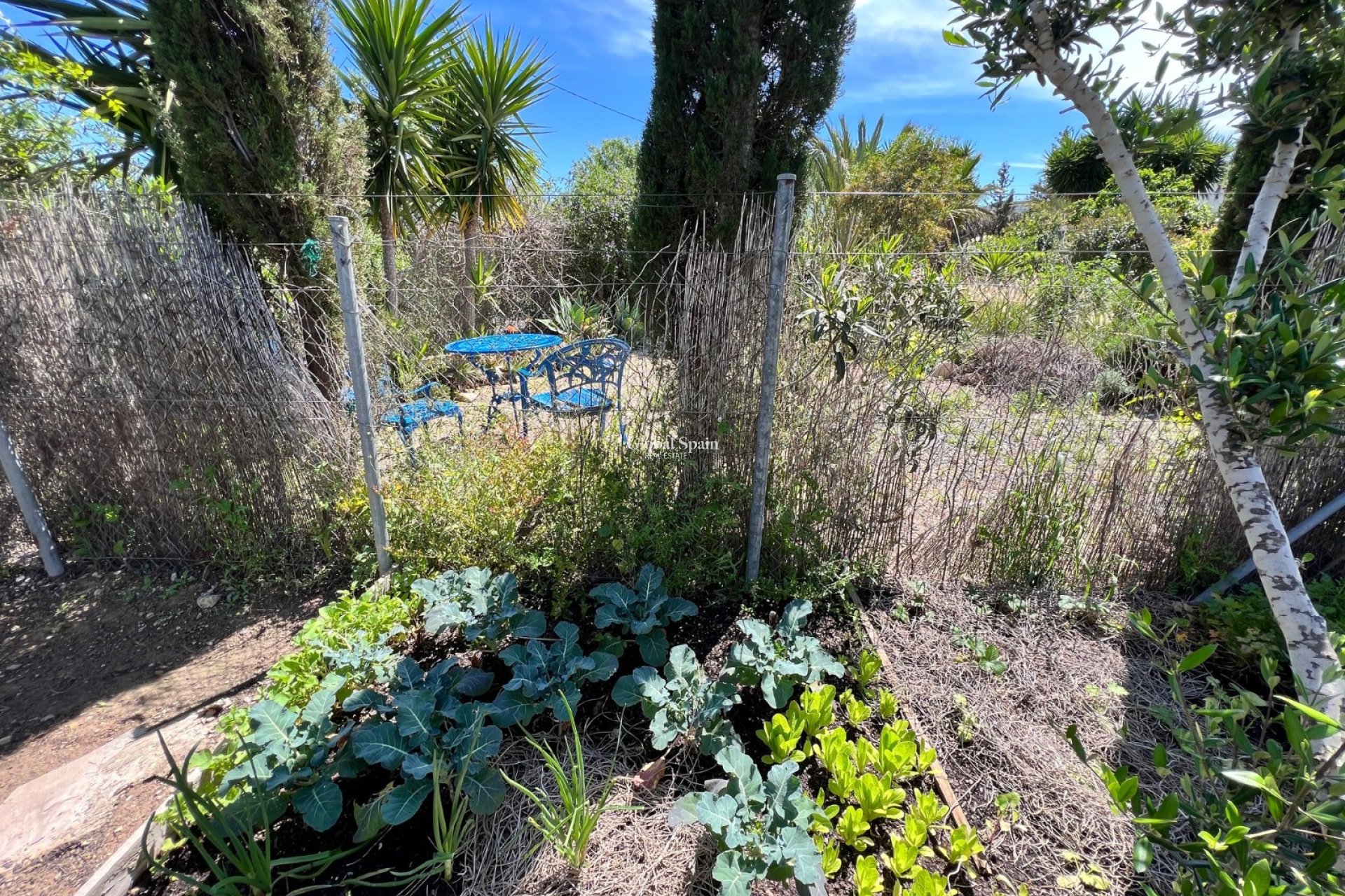 Resale - HOUSE -
CARTAGENA - Costa Calida