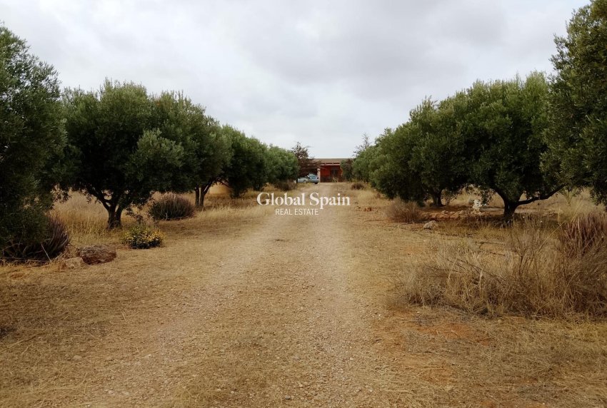 Resale - HOUSE -
CARTAGENA - La Magdalena