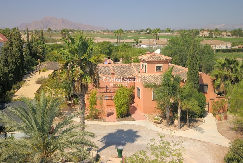 Resale - HOUSE -
Catral - Catral - Country