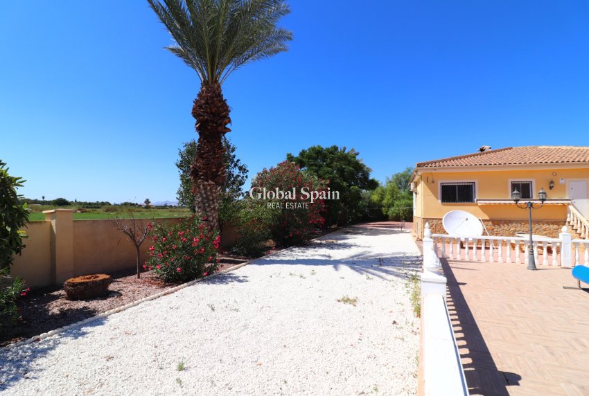 Resale - HOUSE -
Catral - Catral - Country