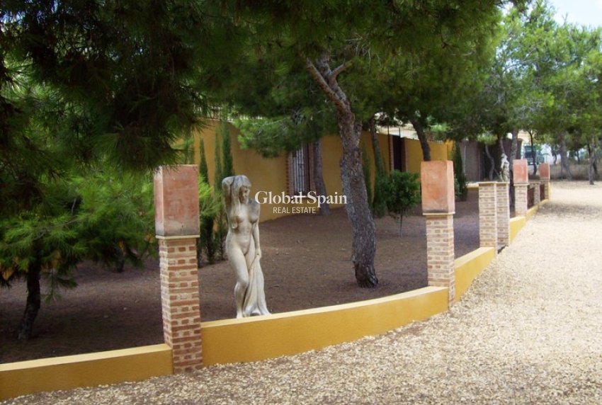Resale - HOUSE -
Ciudad Quesada - Lo Pepin
