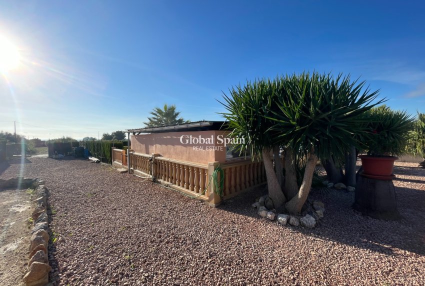 Resale - HOUSE -
CREVILLENTE - Inland