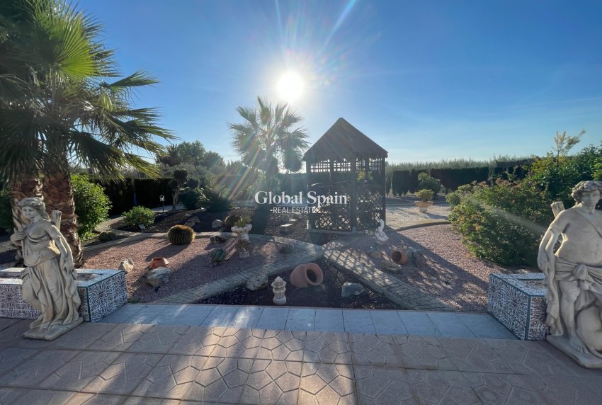 Resale - HOUSE -
CREVILLENTE - Inland