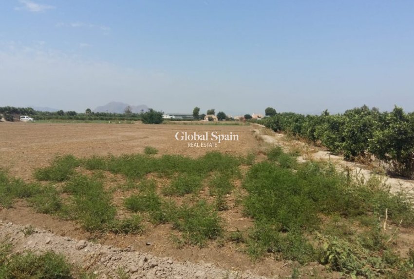 Resale - HOUSE -
DAYA NUEVA - Costa Blanca