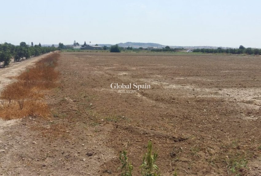 Resale - HOUSE -
DAYA NUEVA - Costa Blanca