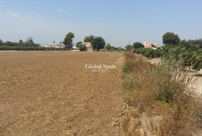 Resale - HOUSE -
DAYA NUEVA - Costa Blanca