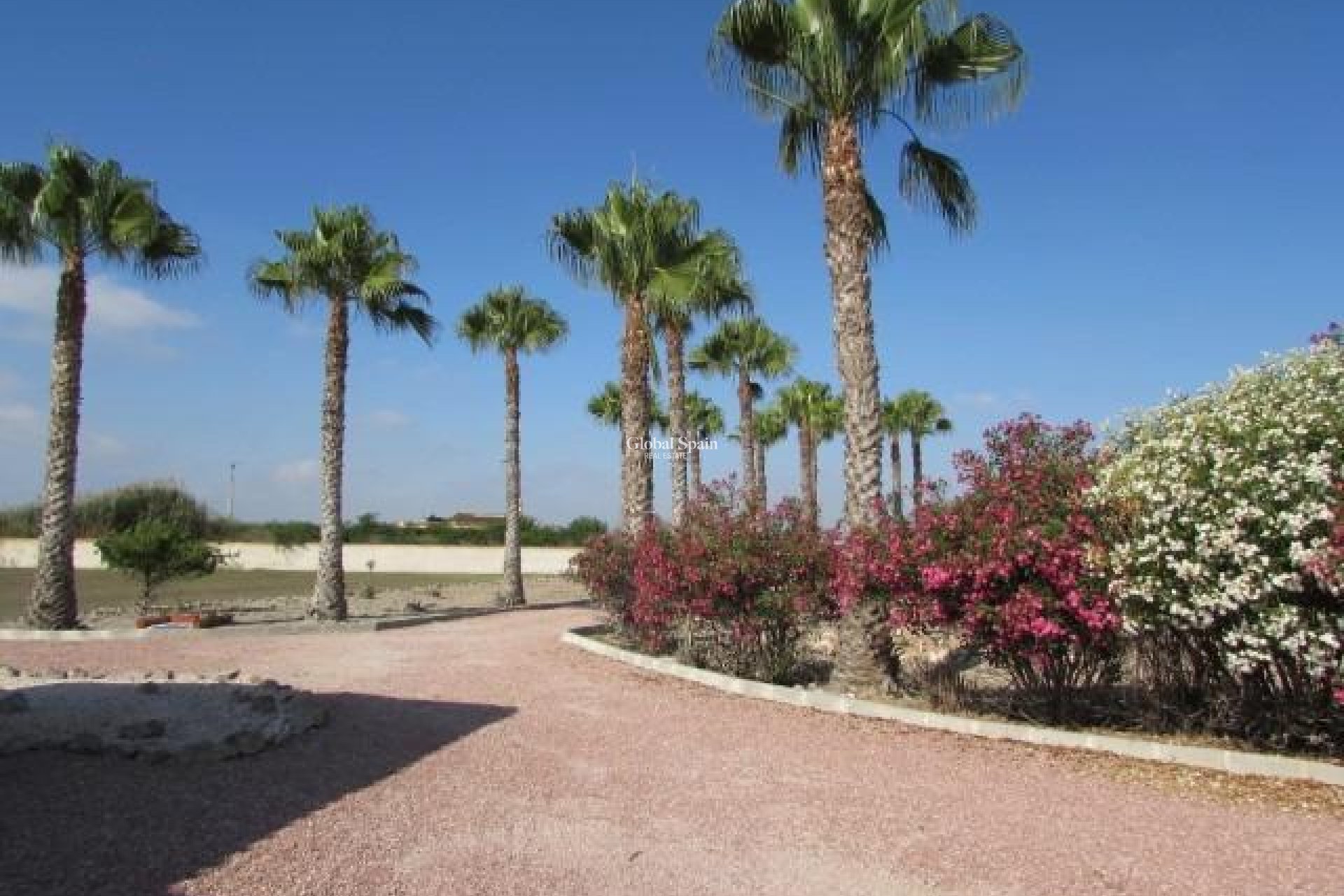 Resale - HOUSE -
DOLORES - Comunidad Valenciana