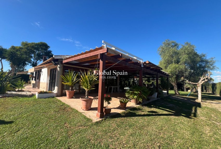 Resale - HOUSE -
DOLORES - Comunidad Valenciana
