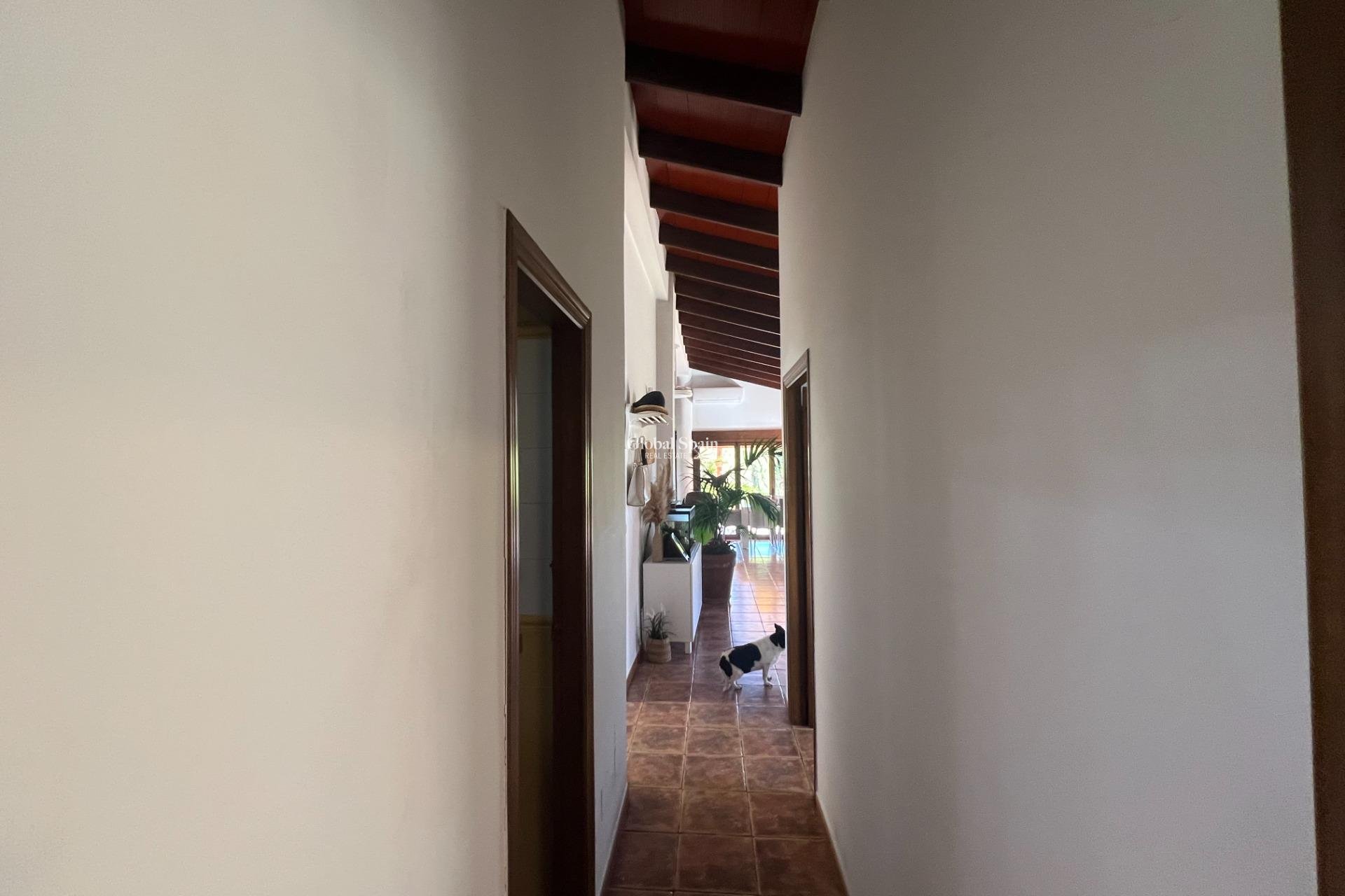 Resale - HOUSE -
DOLORES - Comunidad Valenciana
