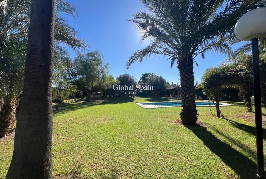 Resale - HOUSE -
DOLORES - Comunidad Valenciana