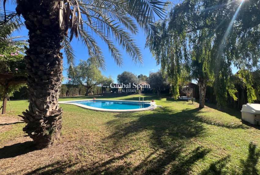 Resale - HOUSE -
DOLORES - Comunidad Valenciana