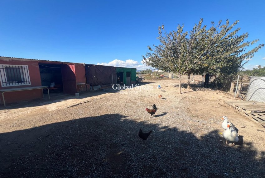 Resale - HOUSE -
DOLORES - Comunidad Valenciana