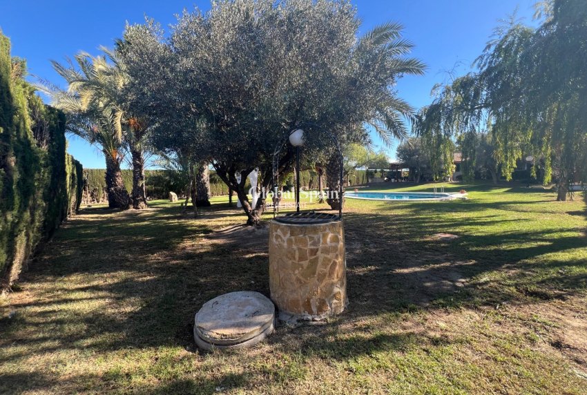 Resale - HOUSE -
DOLORES - Comunidad Valenciana