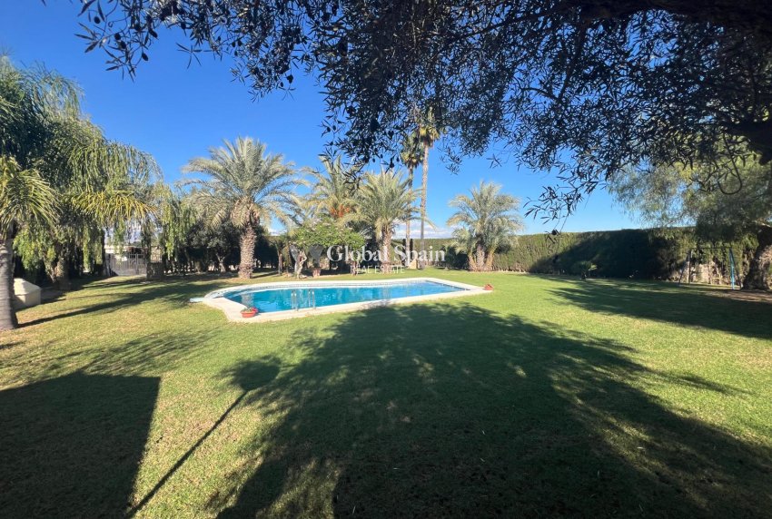 Resale - HOUSE -
DOLORES - Comunidad Valenciana