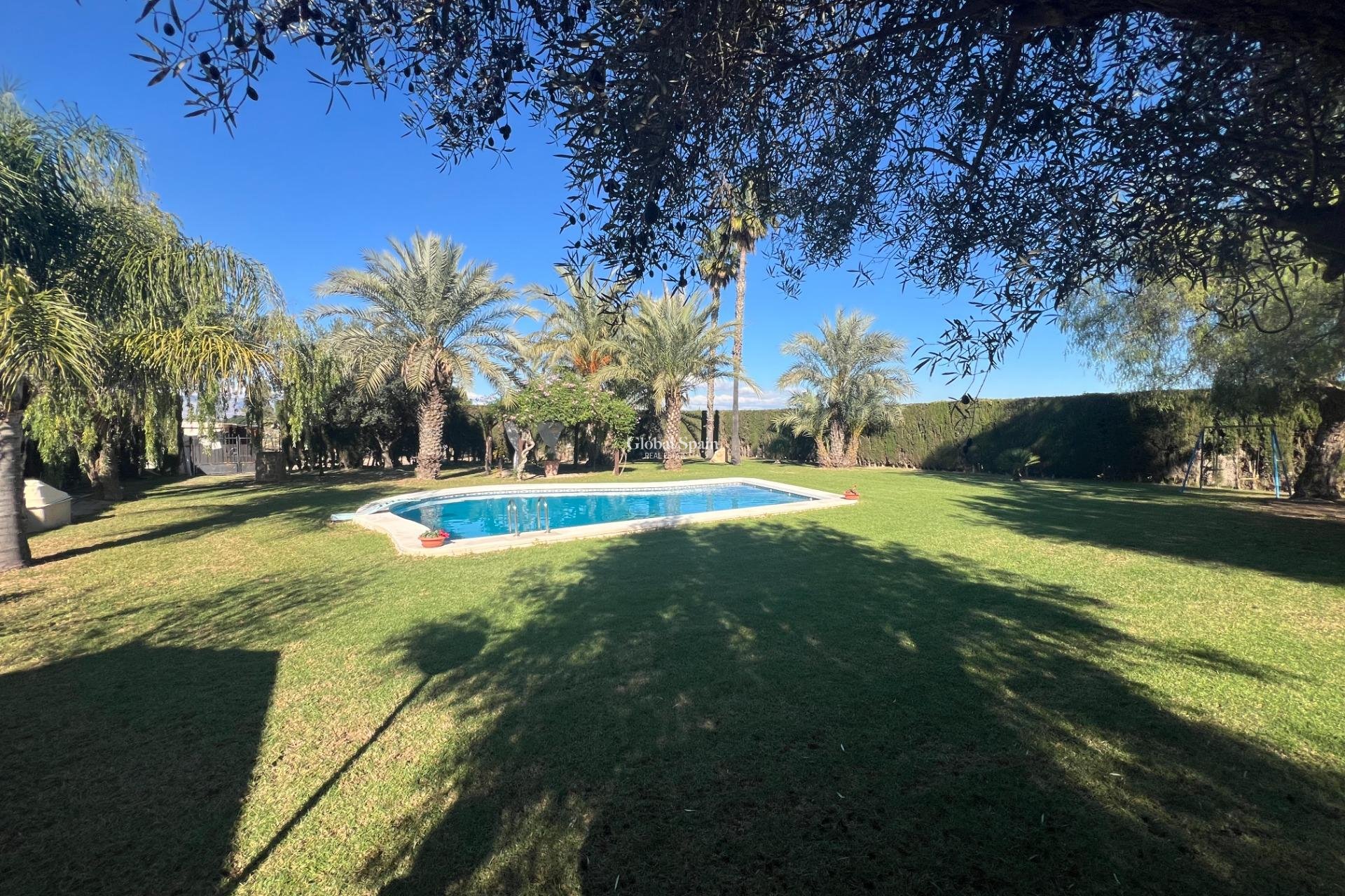 Resale - HOUSE -
DOLORES - Comunidad Valenciana