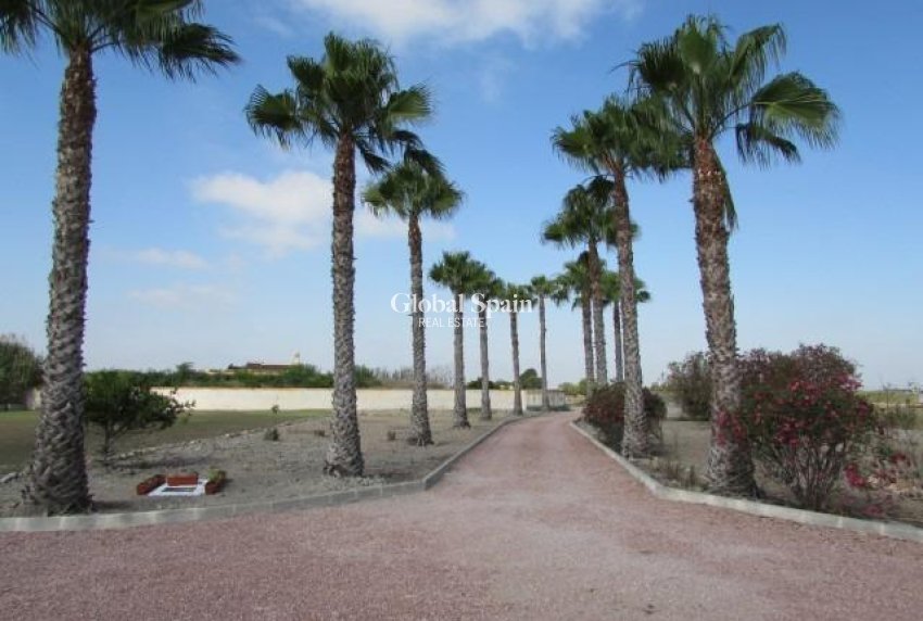 Resale - HOUSE -
DOLORES - Comunidad Valenciana