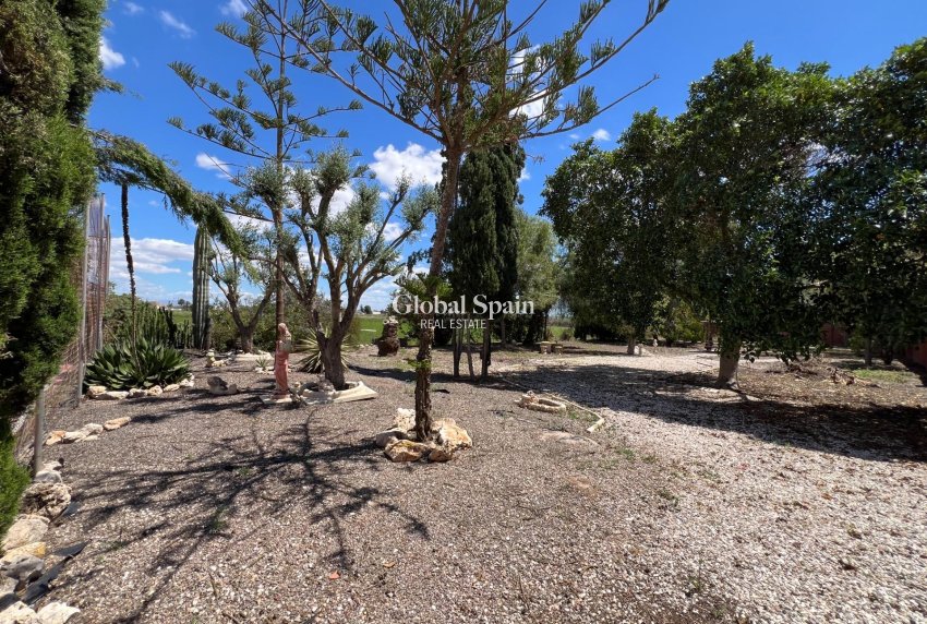 Resale - HOUSE -
DOLORES - Comunidad Valenciana