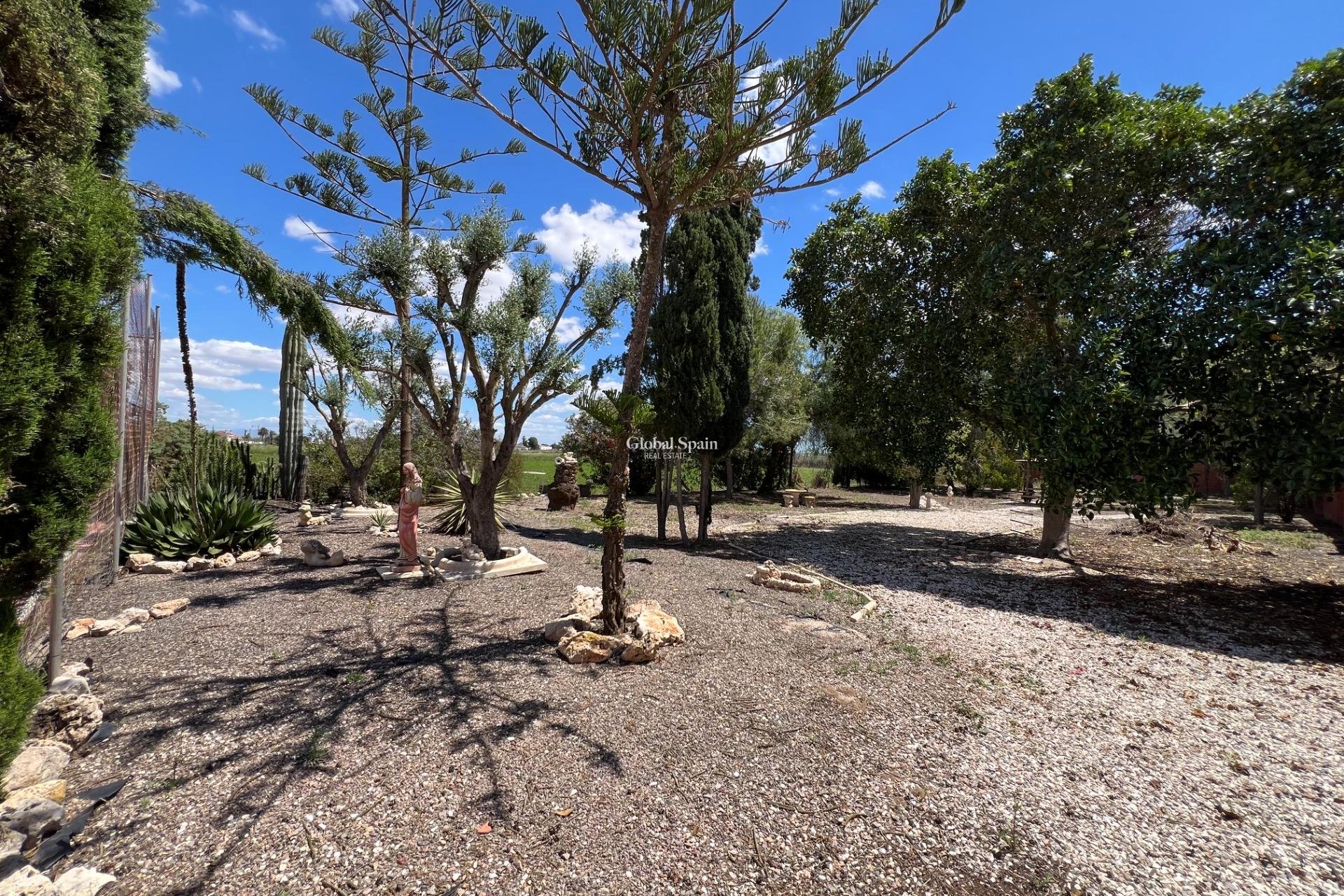 Resale - HOUSE -
DOLORES - Comunidad Valenciana