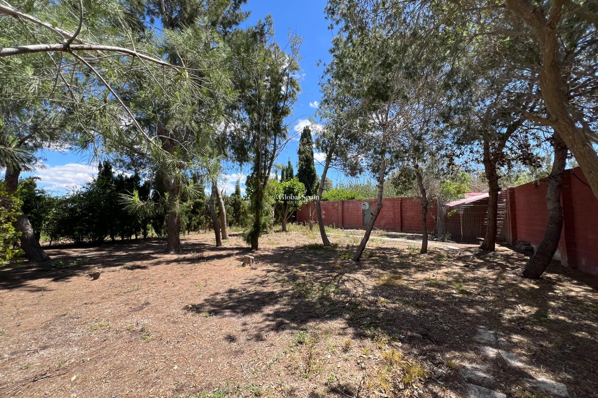 Resale - HOUSE -
DOLORES - Comunidad Valenciana