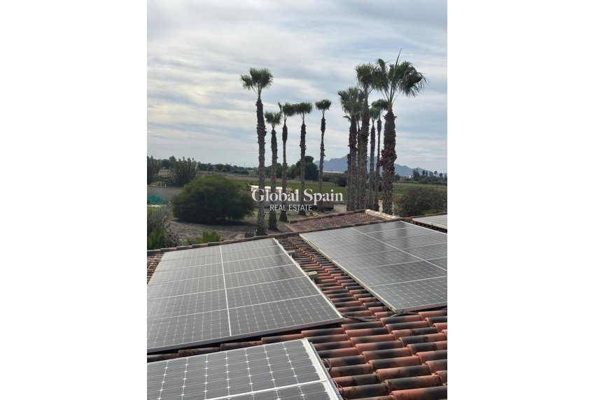 Resale - HOUSE -
DOLORES - Costa Blanca