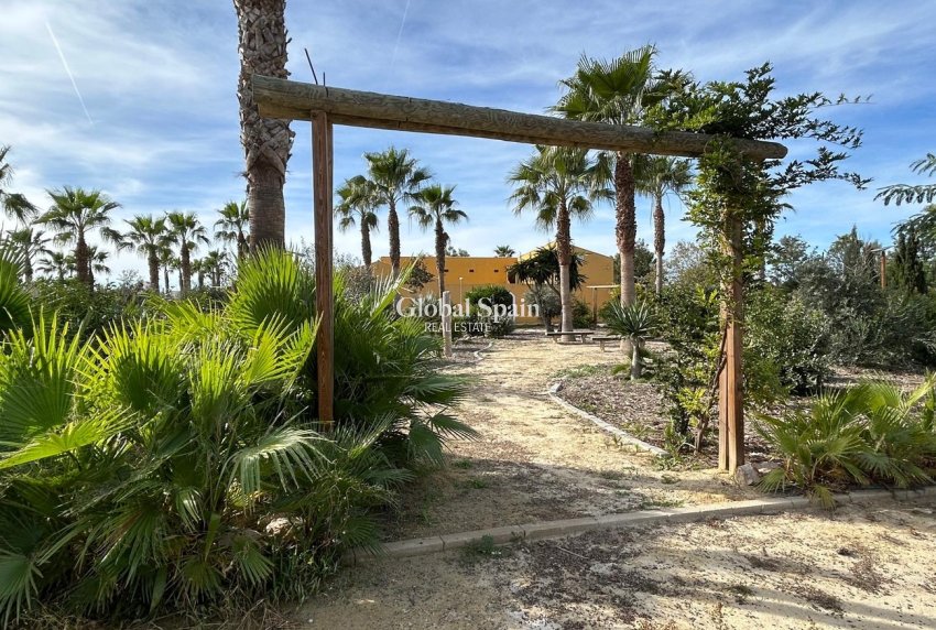 Resale - HOUSE -
DOLORES - Costa Blanca