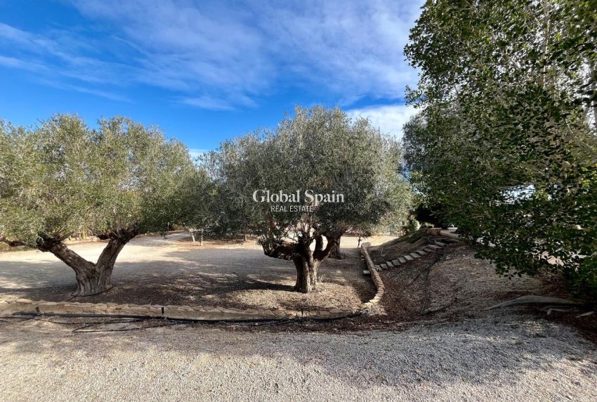 Resale - HOUSE -
EL ESPARRAGAL - Inland
