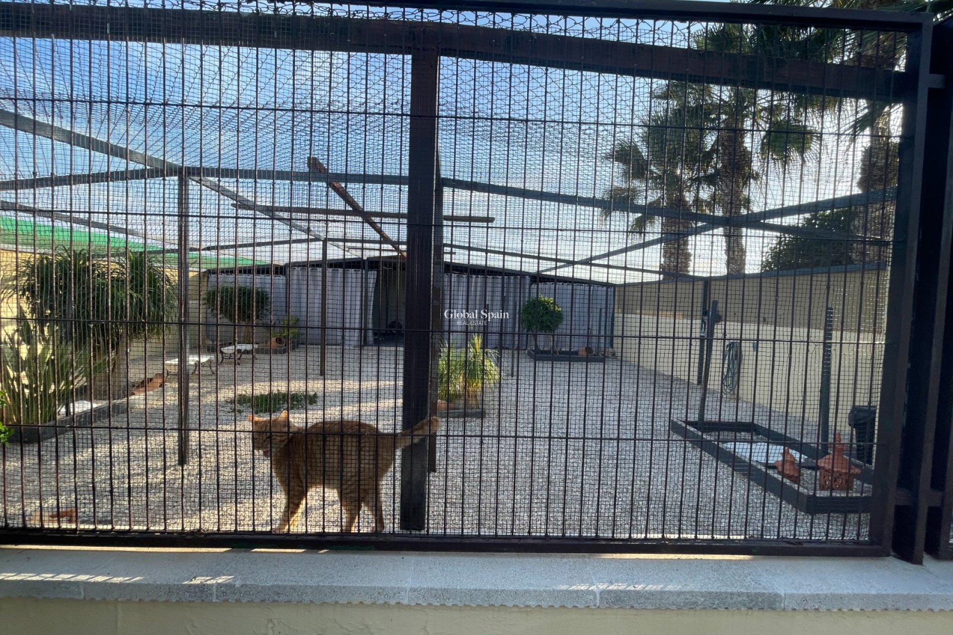 Resale - HOUSE -
ELCHE - Costa Blanca