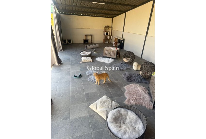 Resale - HOUSE -
ELCHE - Costa Blanca