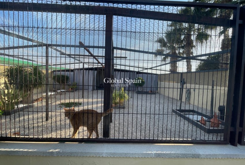 Resale - HOUSE -
ELCHE - Costa Blanca