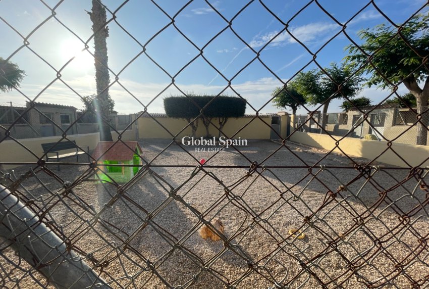 Resale - HOUSE -
ELCHE - Costa Blanca