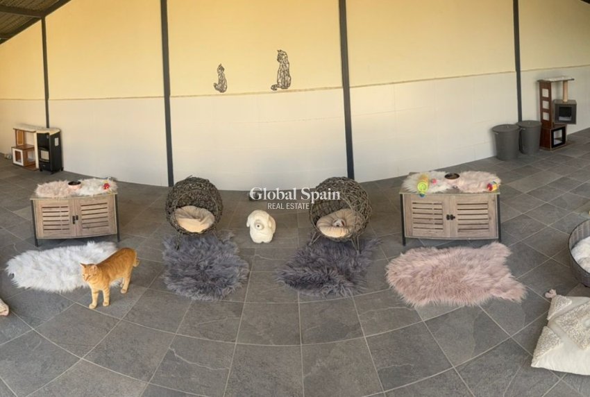 Resale - HOUSE -
ELCHE - Costa Blanca