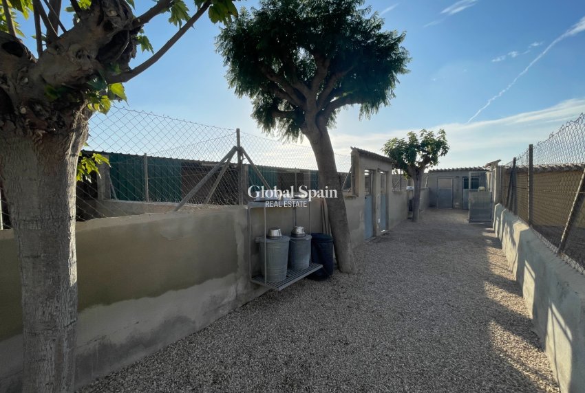 Resale - HOUSE -
ELCHE - Costa Blanca