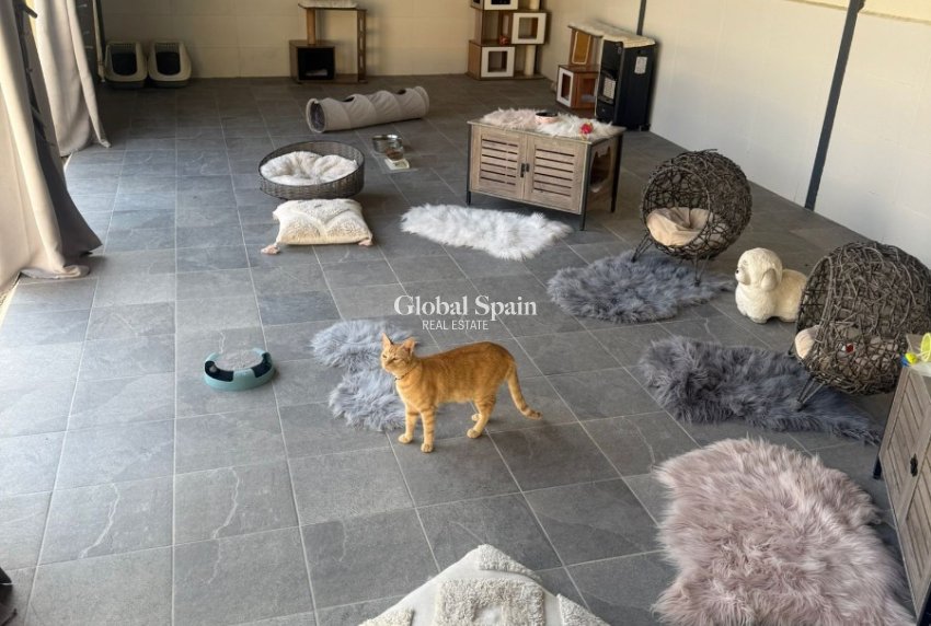 Resale - HOUSE -
ELCHE - Costa Blanca