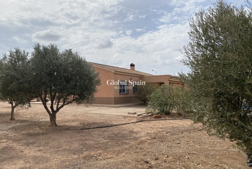 Resale - HOUSE -
FUENTE ÁLAMO DE MURCIA - Inland