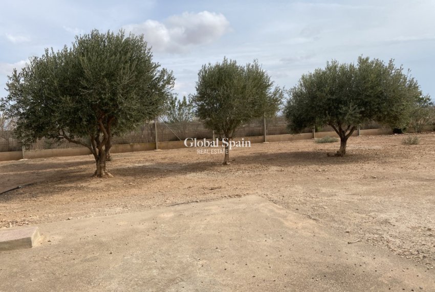 Resale - HOUSE -
FUENTE ÁLAMO DE MURCIA - Inland