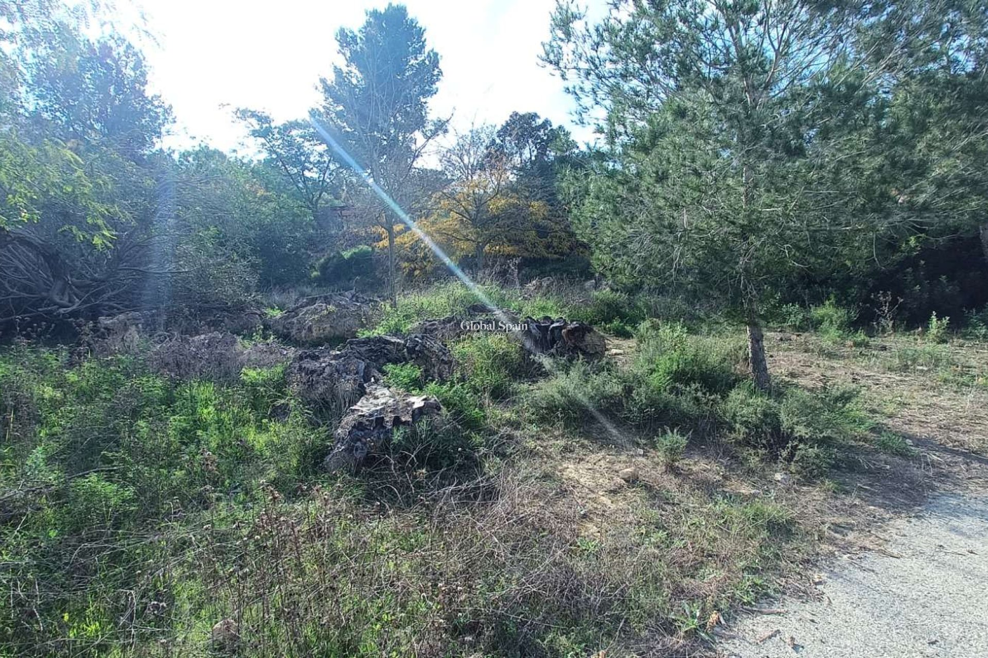 Resale - HOUSE -
GEA Y TRUYOLS - Inland