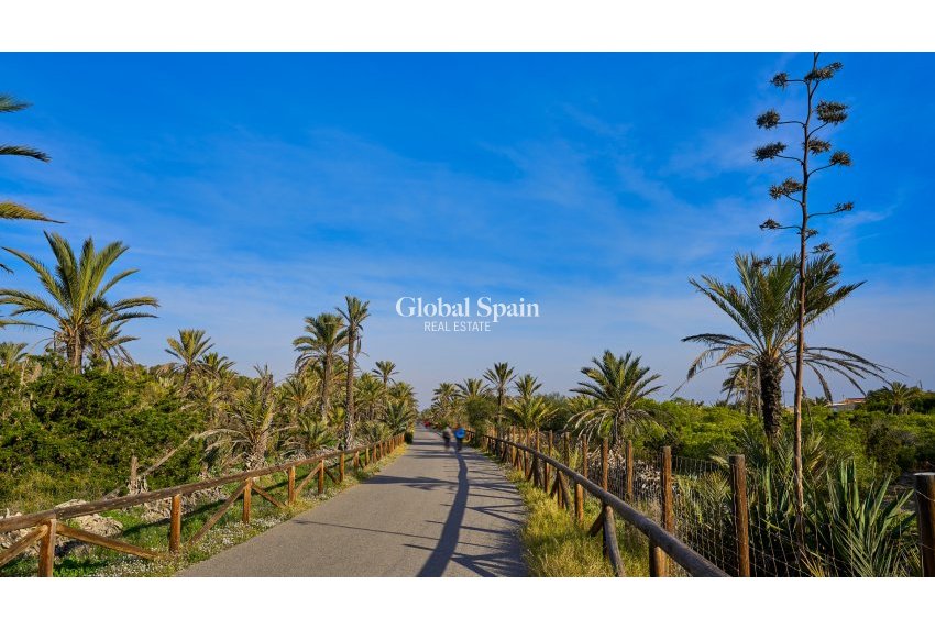 Resale - HOUSE -
GUARDAMAR DEL SEGURA - Guardamar Playa