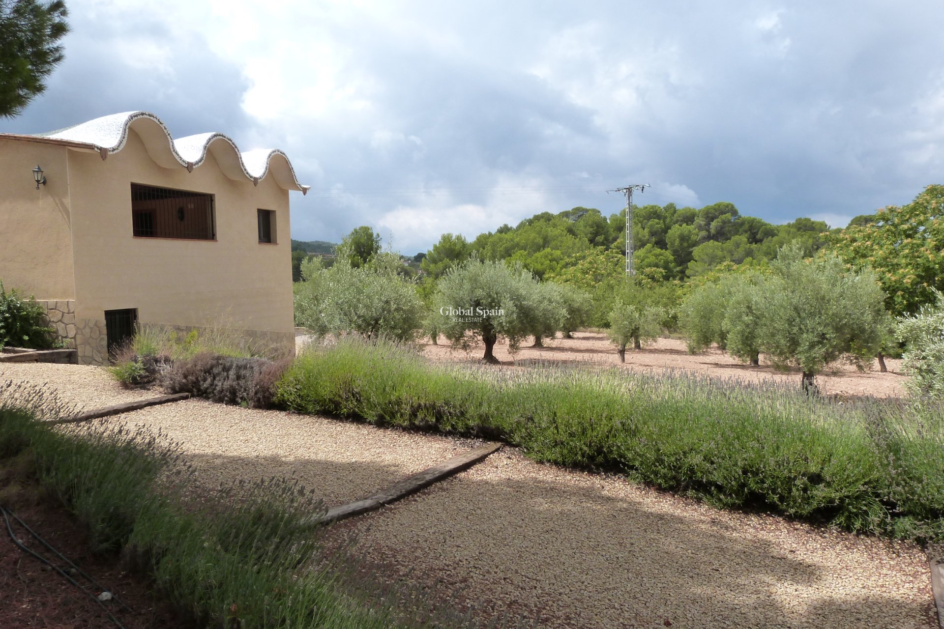 Resale - HOUSE -
Ibi - Ibi - Country