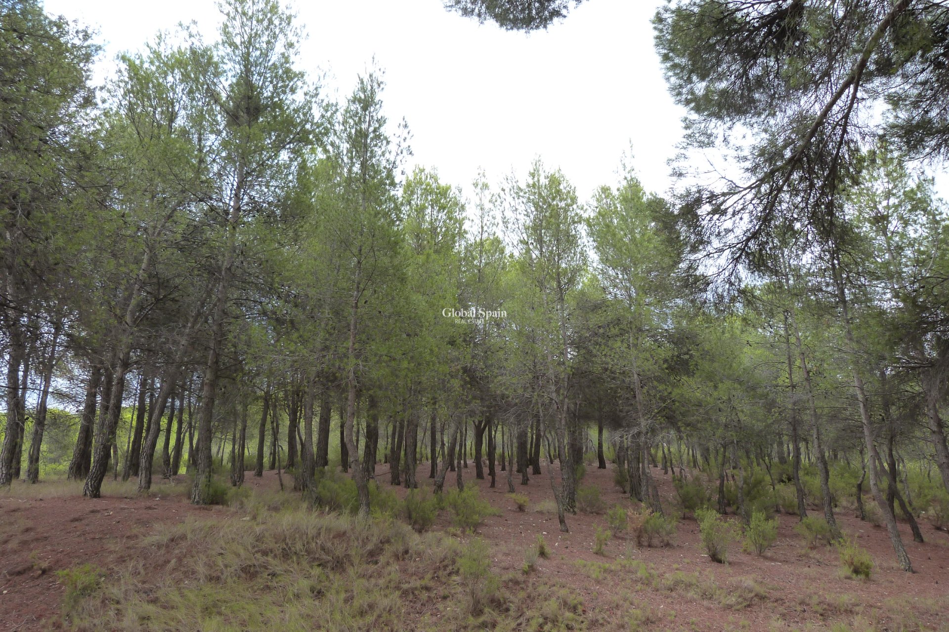 Resale - HOUSE -
Ibi - Ibi - Country