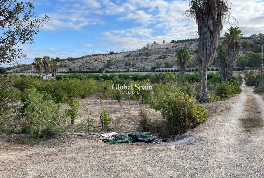 Resale - HOUSE -
JACARILLA - Inland