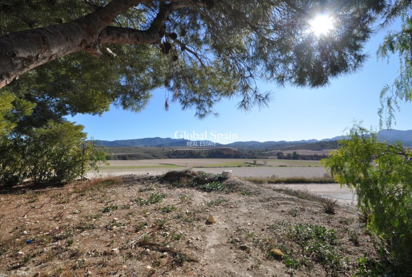 Resale - HOUSE -
JUMILLA - Inland