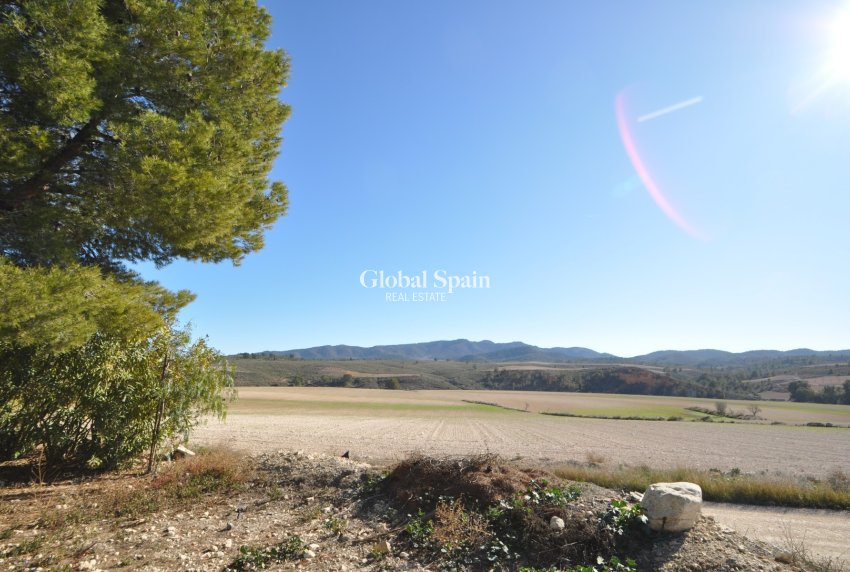 Resale - HOUSE -
JUMILLA - Inland