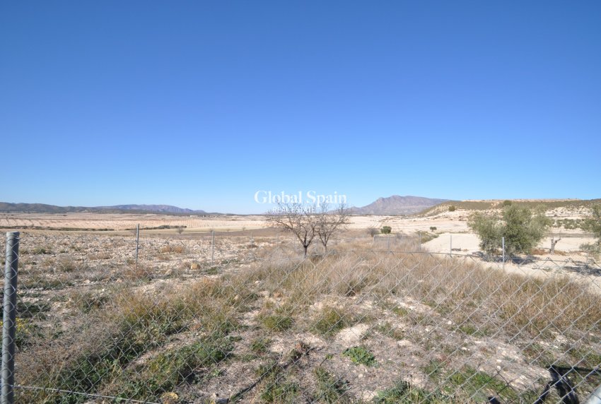 Resale - HOUSE -
JUMILLA - Inland